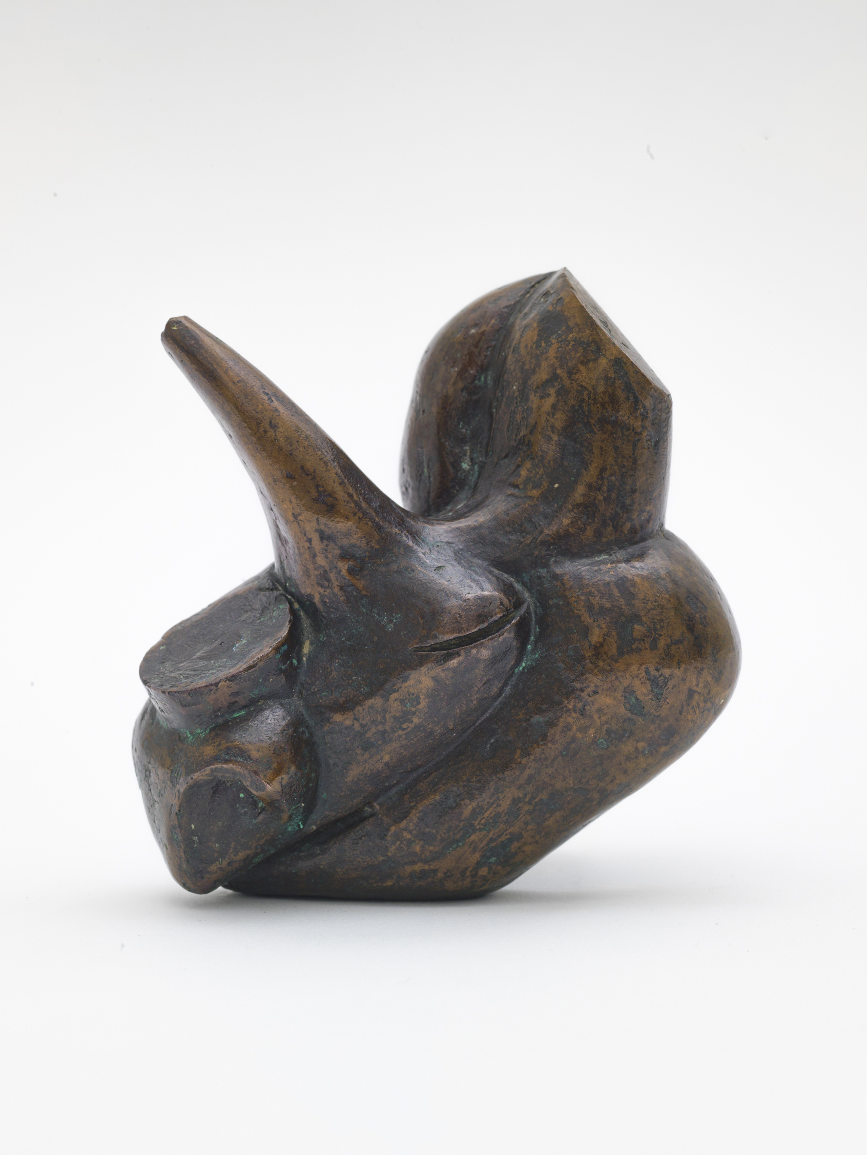 Rhino Head