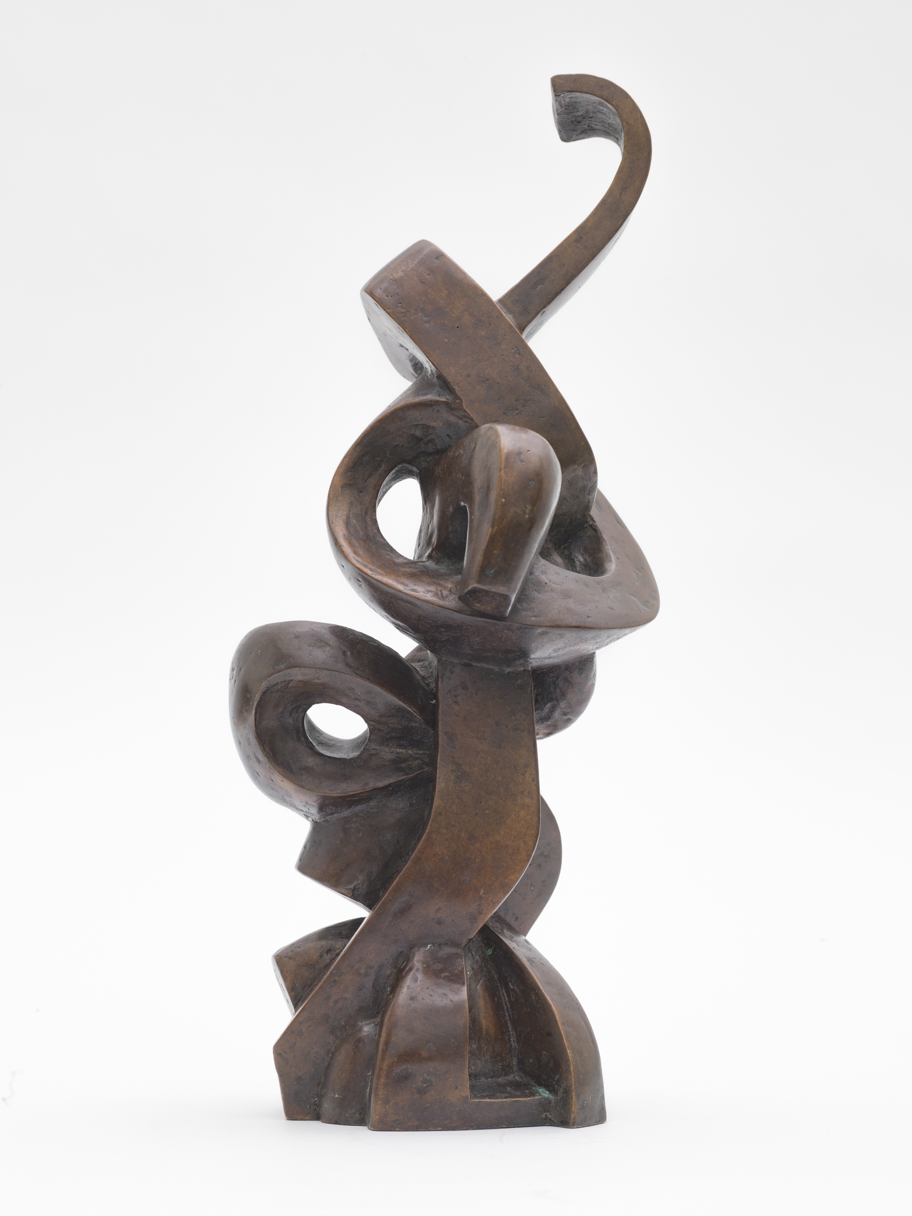 Giambologna’s DNA