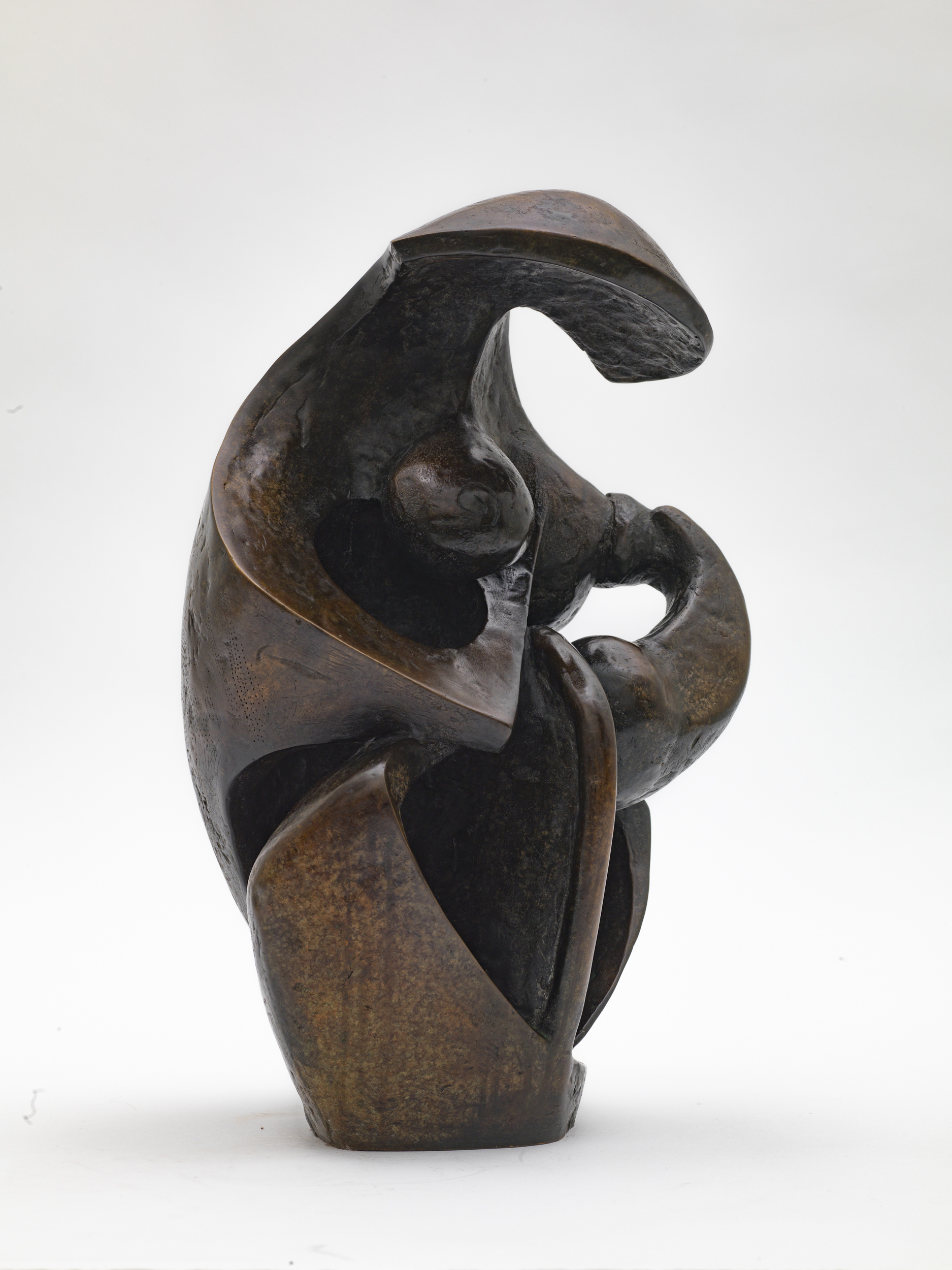 Mammalian Maternity Maquette