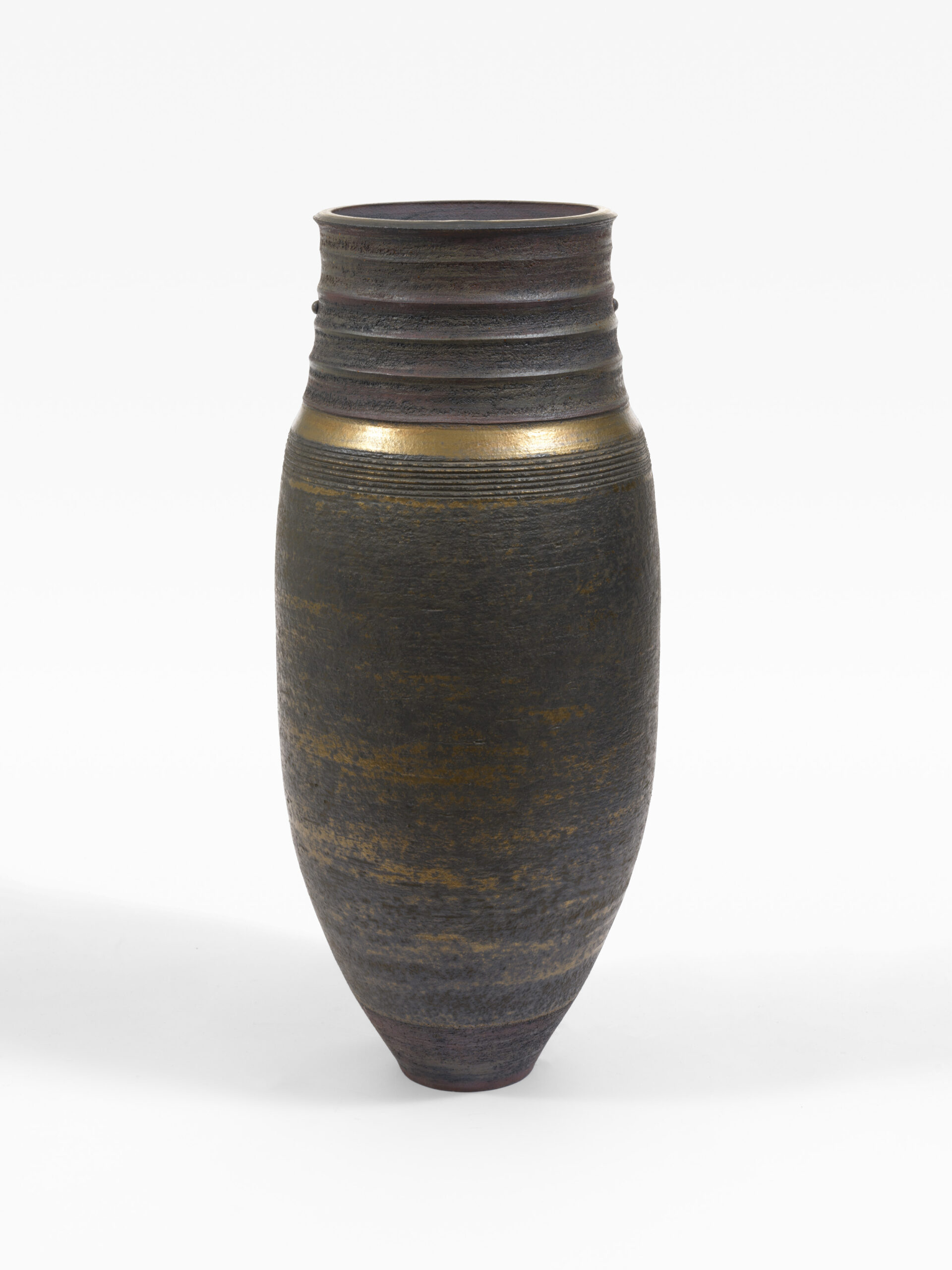 Guardian Vessel