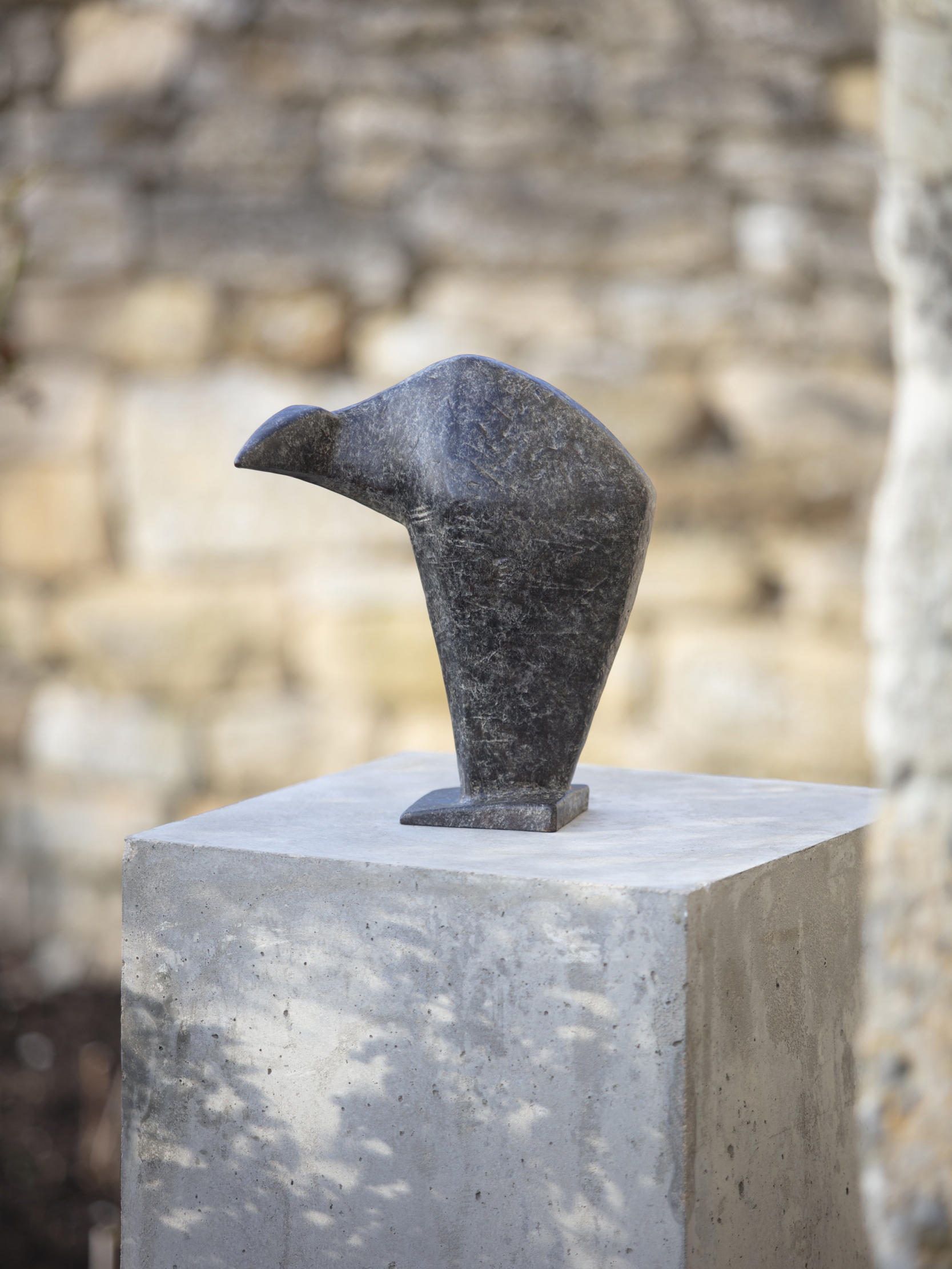 Avian Form Maquette