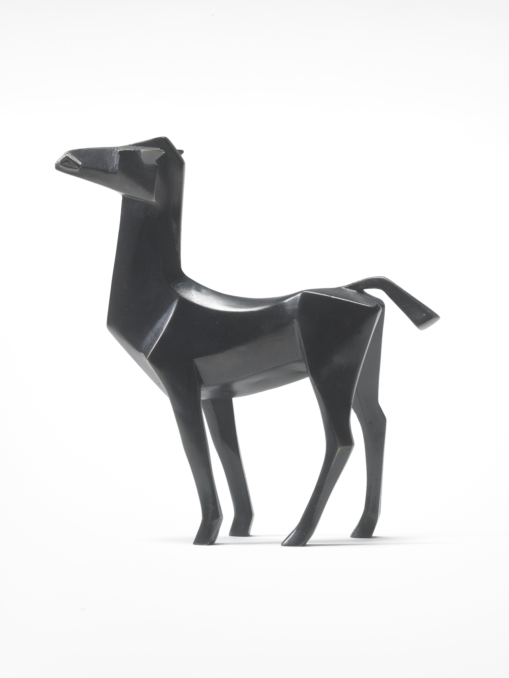 Miniature Horse